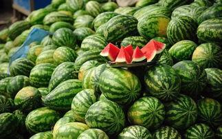吃黎瓜会胖吗