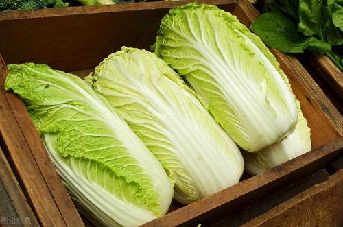 专心吃瓜啃白菜,一场味蕾的盛宴