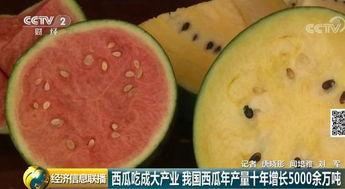 吃瓜群众大黑,吃瓜群众眼中的娱乐圈风云人物