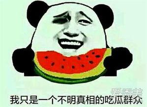 吃瓜就要有吃瓜的态度